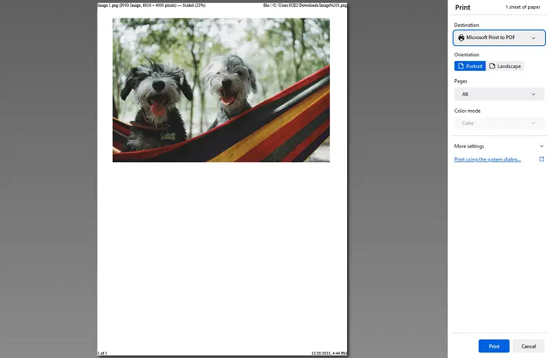 Print to PDF 1 Print to PDF 1